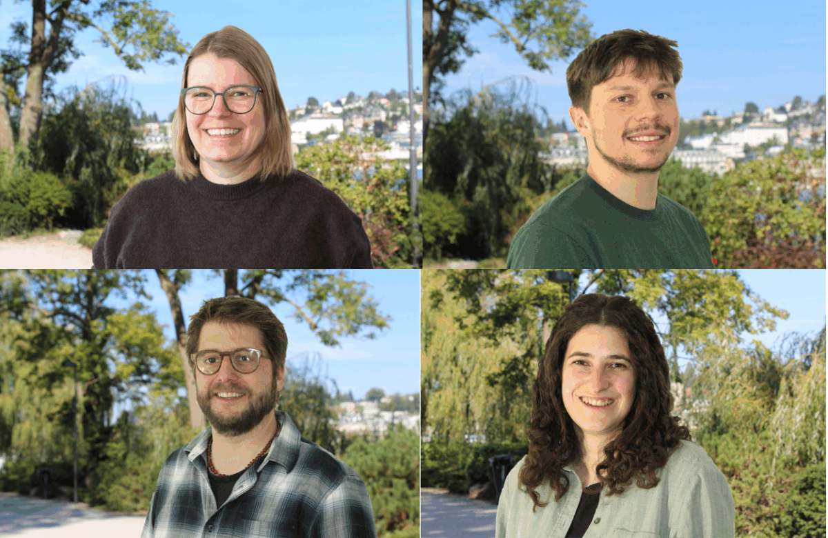 Seit Anfang Jahr beim plan:team: Nicole Schaffner, Elio Wildisen, Janine Möri und Martin Imholz (im Uhrzeigersinn).